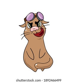 Cat with funny glasses .Vector children's design on a white isolated background, for postcard banners.Sticker