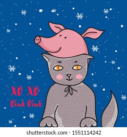 cat, funny hat, piggy hat, happy new year