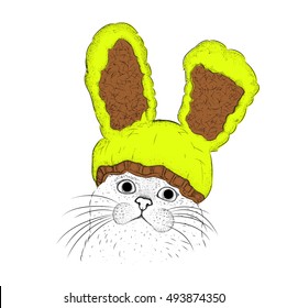Cat in a funny hat with a rabbit ears. Vector illustrations