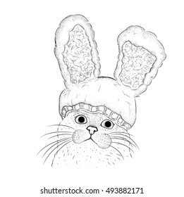 Cat in a funny hat with a rabbit ears. Vector illustrations