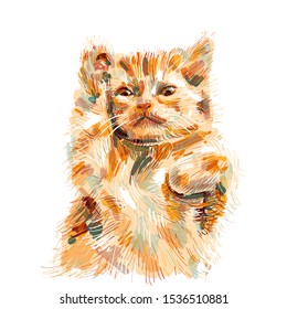 Cat in funny pose, raise front leg, isolated on white background, vector illustration
