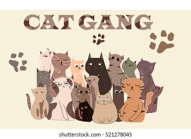 Cat gang