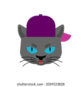 Cat Gangsta face. Angry pet muzzle. Animal bully member of gang of street criminals