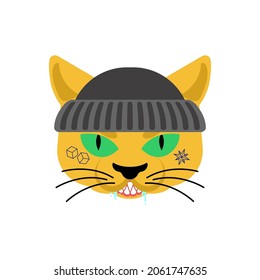 Cat Gangsta face. Angry pet muzzle. Animal bully member of gang of street criminals