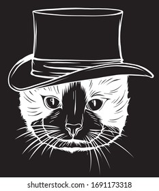 Cat gentleman in a hat in black background