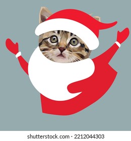  cat get surprised with red and white color dress