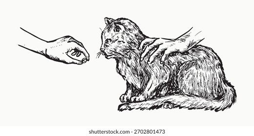 Cat getting a pill from human hand, side view, doodle black ink drawing, woodcut vector