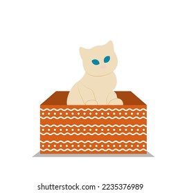 Cat in a gift box. Cream kitten in a red box