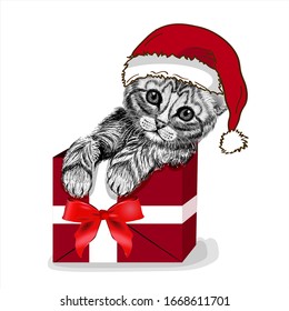 Cat in a gift box. Cute kitten. Wall stickers . Merry christmas cat.