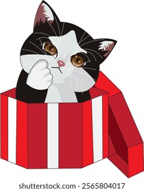 Cat In Gift Box Vector Design Illustrator