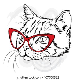 Cat in the glasses. Vector illustration.