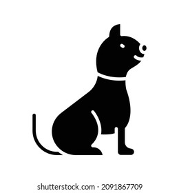Cat Glyph Icon Animal Vector 