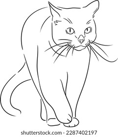 the cat goes to a meeting