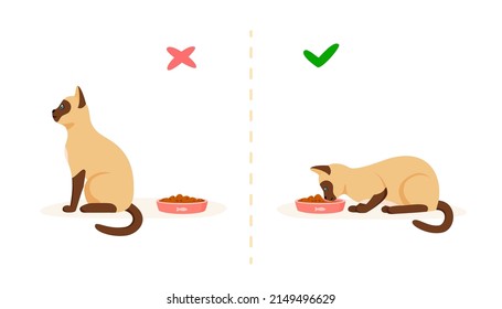 Cat with good and bad appetite. Picky cat refusing to eat and hungry cat eating food in bowl. Feeding pet problem concept. Flat style vector