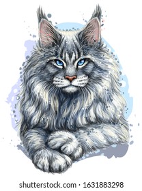 Cat. Graphic, artistic, hand-drawn, color sketch portrait of a Maine Coon cat on a white background in watercolor style.