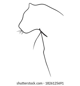cat graphic design vector illustration, icon, art tattoo sketch, logo, use in print, hand draw