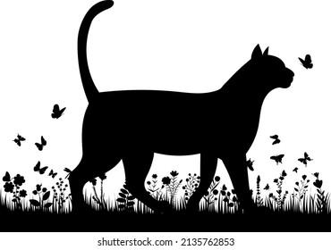 cat in the grass black silhouette