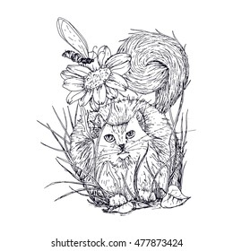Cat in the grass hunting insect near sunflower flower. Sketch black and white illustration