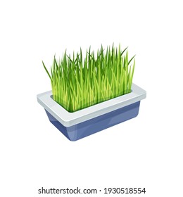 Cat grass, pet care and animals food supplement in bowl, vector flat icon. Cat grass in dish for eating treat or nutrition meal snack, pets care and entertainment item