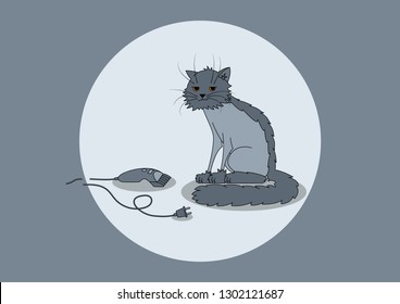 cat gray haircut