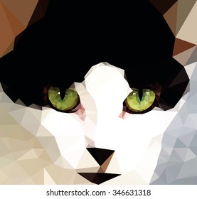 A cat with green color eye, low poly vector illustration.
