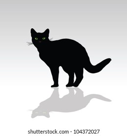 cat with green eye vector illustration on white
