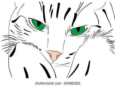 cat with green eyes
