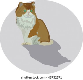     cat with green eyes