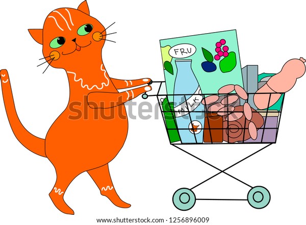 cats grocery shopping