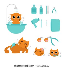 cat grooming