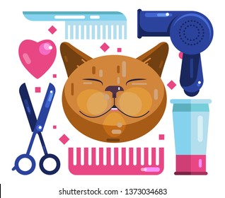 Cat grooming. Cheerful muzzle cat. Hair dryer, scissors and comb. Icon, symbol, avatar for the salon. Hair salon for pets. Flat Vector Illustration