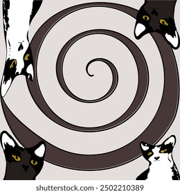 Cat, a group of cats with their faces nature, isolated, closeup