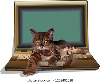 Cat hacker lying on laptop vector illustration