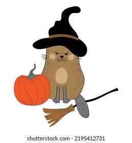 Cat and Halloween. Autumn. sticker. Card. Kitty. Pumpkin and flowers. Jack. Vector illustration. doodle. Flat style.