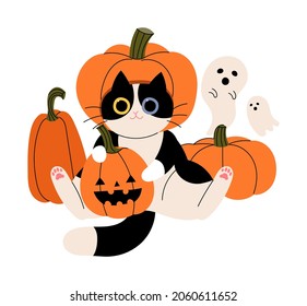 A cat in a Halloween costume. Halloween concept cute vector illustration.