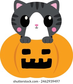 Cat Halloween costumes,
Pet Halloween outfits for cats,
Spooky cat costumes