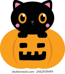 Cat Halloween costumes,
Pet Halloween outfits for cats,
Spooky cat costumes