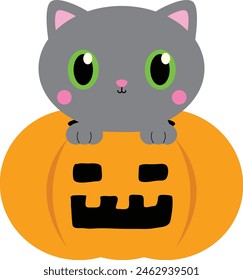 Cat Halloween costumes,
Pet Halloween outfits for cats,
Spooky cat costumes