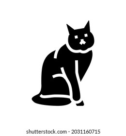 cat halloween glyph icon vector. cat halloween sign. isolated contour symbol black illustration