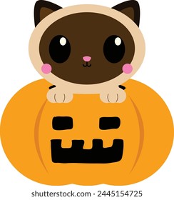Cat halloween with pumkin cute cartoon