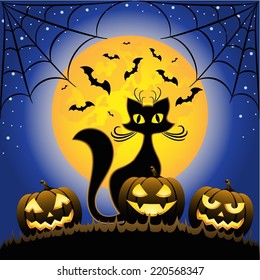 Cat and Halloween pumpkins against full moon at night 