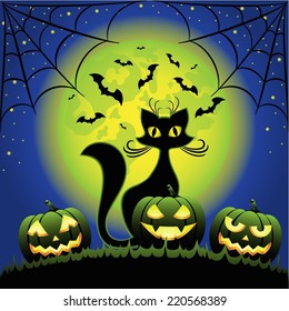 Cat and Halloween pumpkins against full moon at night 