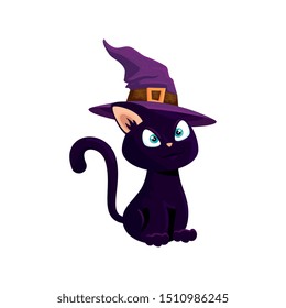 cat of halloween with witch hat