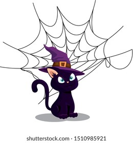cat of halloween with witch hat and spider web
