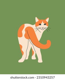 Cat hand drawn isolated. Vector flat style illustration