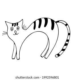 Cat hand drawn outline doodle icon. Domestic animal - cat vector sketch illustration for print, web, mobile and infographics isolated on white background. Doodle cartoon style.