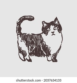 The cat. Hand drawn vector drawing. Graphic ink style. Animal character.