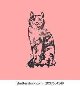 The cat. Hand drawn vector drawing. Graphic ink style. Animal character.