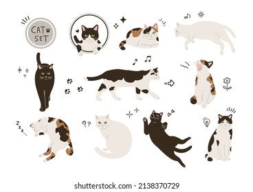 60+ Gato Bicolor Preto E Branco Ilustração de stock, gráficos