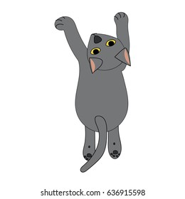 Cat hanging in the climbing pose